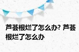 芦荟根烂了怎么办? 芦荟根烂了怎么办