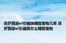 造梦西游ol引魂旗捕捉宠物几率 造梦西游ol引魂旗怎么捕捉宠物