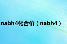 nabh4化合价（nabh4）