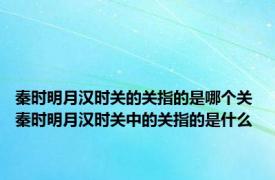 秦时明月汉时关的关指的是哪个关 秦时明月汉时关中的关指的是什么