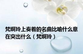 梵婀玲上奏着的名曲比喻什么意在突出什么（梵婀玲）