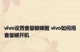 vivo设置音量键唤醒 vivo如何用音量键开机