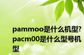 pammoo是什么机型? pacm00是什么型号机型