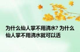 为什么仙人掌不用浇水? 为什么仙人掌不用浇水就可以活