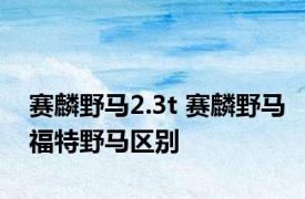 赛麟野马2.3t 赛麟野马福特野马区别