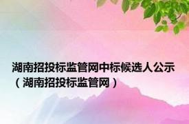 湖南招投标监管网中标候选人公示（湖南招投标监管网）