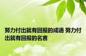 努力付出就有回报的成语 努力付出就有回报的名言