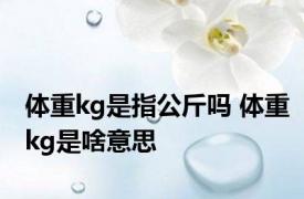 体重kg是指公斤吗 体重kg是啥意思