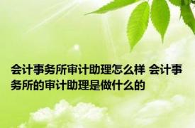 会计事务所审计助理怎么样 会计事务所的审计助理是做什么的