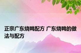 正宗广东烧鸭配方 广东烧鸭的做法与配方