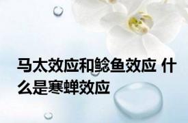 马太效应和鲶鱼效应 什么是寒蝉效应