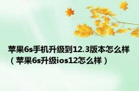 苹果6s手机升级到12.3版本怎么样（苹果6s升级ios12怎么样）