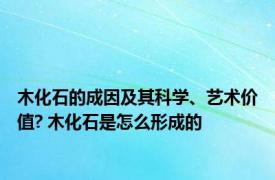 木化石的成因及其科学、艺术价值? 木化石是怎么形成的