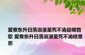 爱意东升日落浪漫至死不渝是哪首歌 爱意东升日落浪漫至死不渝啥意思