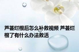 芦荟烂根后怎么补救视频 芦荟烂根了有什么办法救活