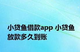 小贷鱼借款app 小贷鱼放款多久到账