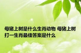 母猪上树是什么生肖动物 母猪上树打一生肖最佳答案是什么