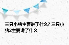 三只小猪主要讲了什么? 三只小猪2主要讲了什么