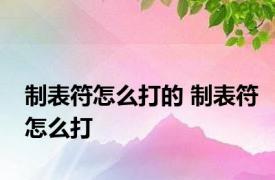 制表符怎么打的 制表符怎么打