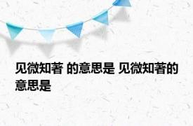 见微知著 的意思是 见微知著的意思是 