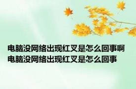 电脑没网络出现红叉是怎么回事啊 电脑没网络出现红叉是怎么回事