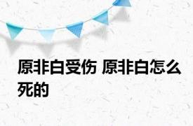 原非白受伤 原非白怎么死的