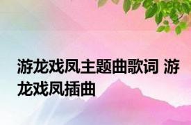 游龙戏凤主题曲歌词 游龙戏凤插曲 