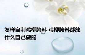 怎样自制鸡柳腌料 鸡柳腌料都放什么自己做的