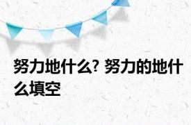 努力地什么? 努力的地什么填空