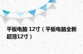 平板电脑 12寸（平板电脑全新超薄12寸）