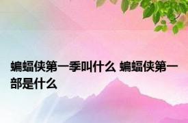 蝙蝠侠第一季叫什么 蝙蝠侠第一部是什么