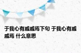 于我心有戚戚焉下句 于我心有戚戚焉 什么意思