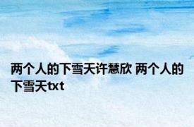 两个人的下雪天许慧欣 两个人的下雪天txt 