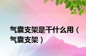 气囊支架是干什么用（气囊支架）