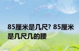 85厘米是几尺? 85厘米是几尺几的腰