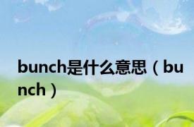 bunch是什么意思（bunch）