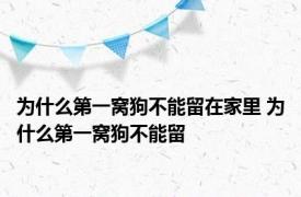 为什么第一窝狗不能留在家里 为什么第一窝狗不能留