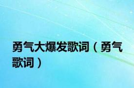 勇气大爆发歌词（勇气 歌词）