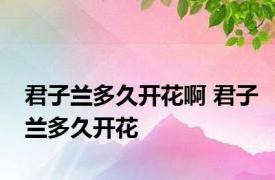 君子兰多久开花啊 君子兰多久开花