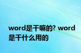 word是干嘛的? word是干什么用的