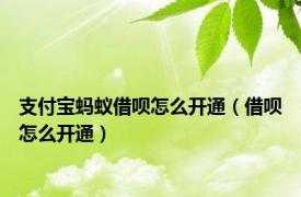 支付宝蚂蚁借呗怎么开通（借呗怎么开通）