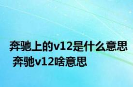 奔驰上的v12是什么意思 奔驰v12啥意思