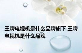 王牌电视机是什么品牌旗下 王牌电视机是什么品牌