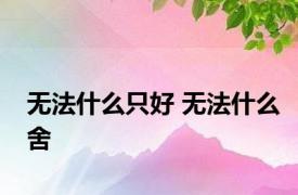 无法什么只好 无法什么舍