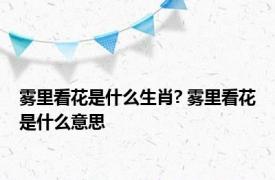 雾里看花是什么生肖? 雾里看花是什么意思