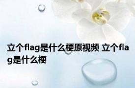 立个flag是什么梗原视频 立个flag是什么梗