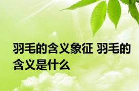 羽毛的含义象征 羽毛的含义是什么