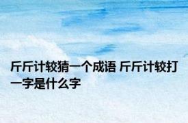 斤斤计较猜一个成语 斤斤计较打一字是什么字