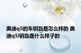 奥迪q5的车钥匙是怎么样的 奥迪q5l钥匙是什么样子的