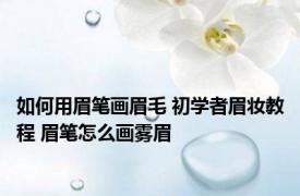 如何用眉笔画眉毛 初学者眉妆教程 眉笔怎么画雾眉